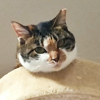 たまえきちょう