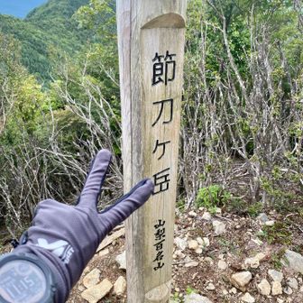 ついたついた！！