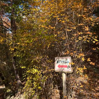 星のブランコへ