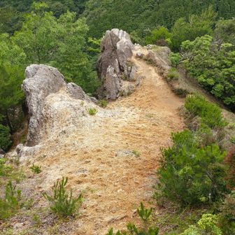 右側が登山道です😊