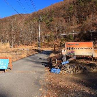 いつものキツネに見送られ、午前９時半、モーニングスタート🦊って、こんなに遅くなるなんで聞いてないよーってダチョウ倶楽部みたく言いたくなった。