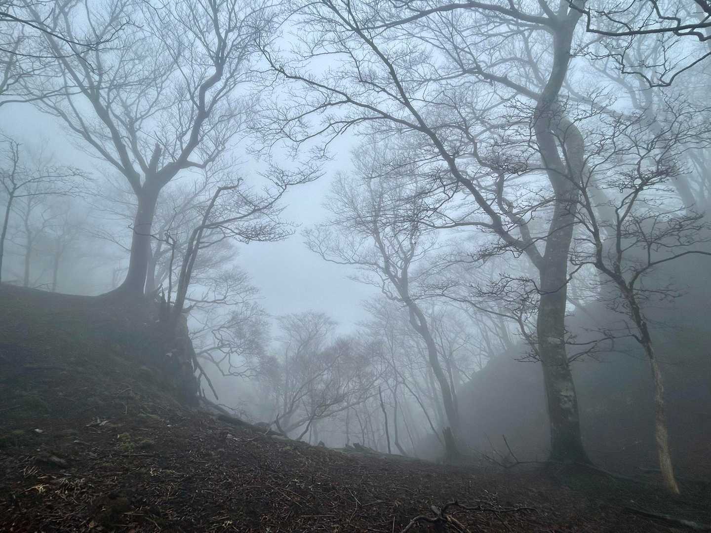 雲海の中に
おるんやろうか(｡･ω･｡)
こんな時 遠くから
山の様子を見てみたい