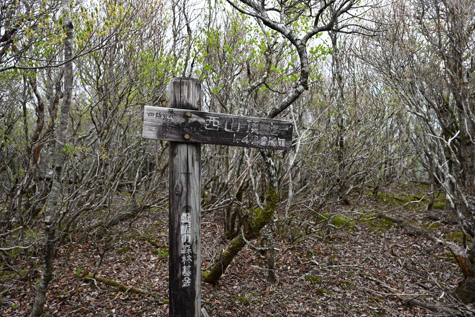 西山の山頂には展望がありません