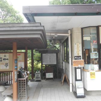■清澄庭園
回遊式林泉庭園で、庭石が各地の（主に、江戸近郊）名石で構成されているので有名．岩崎家三代が築いた、名石の庭．
￥70/シニア