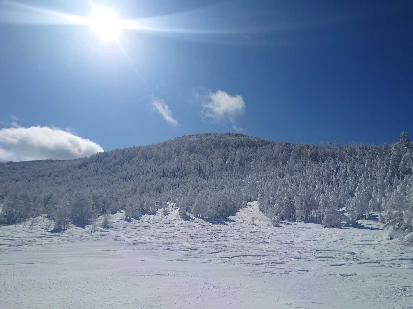 縞枯山にも行ってみたい