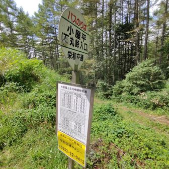 小屋平バス停🚏脇から三たび山道へ