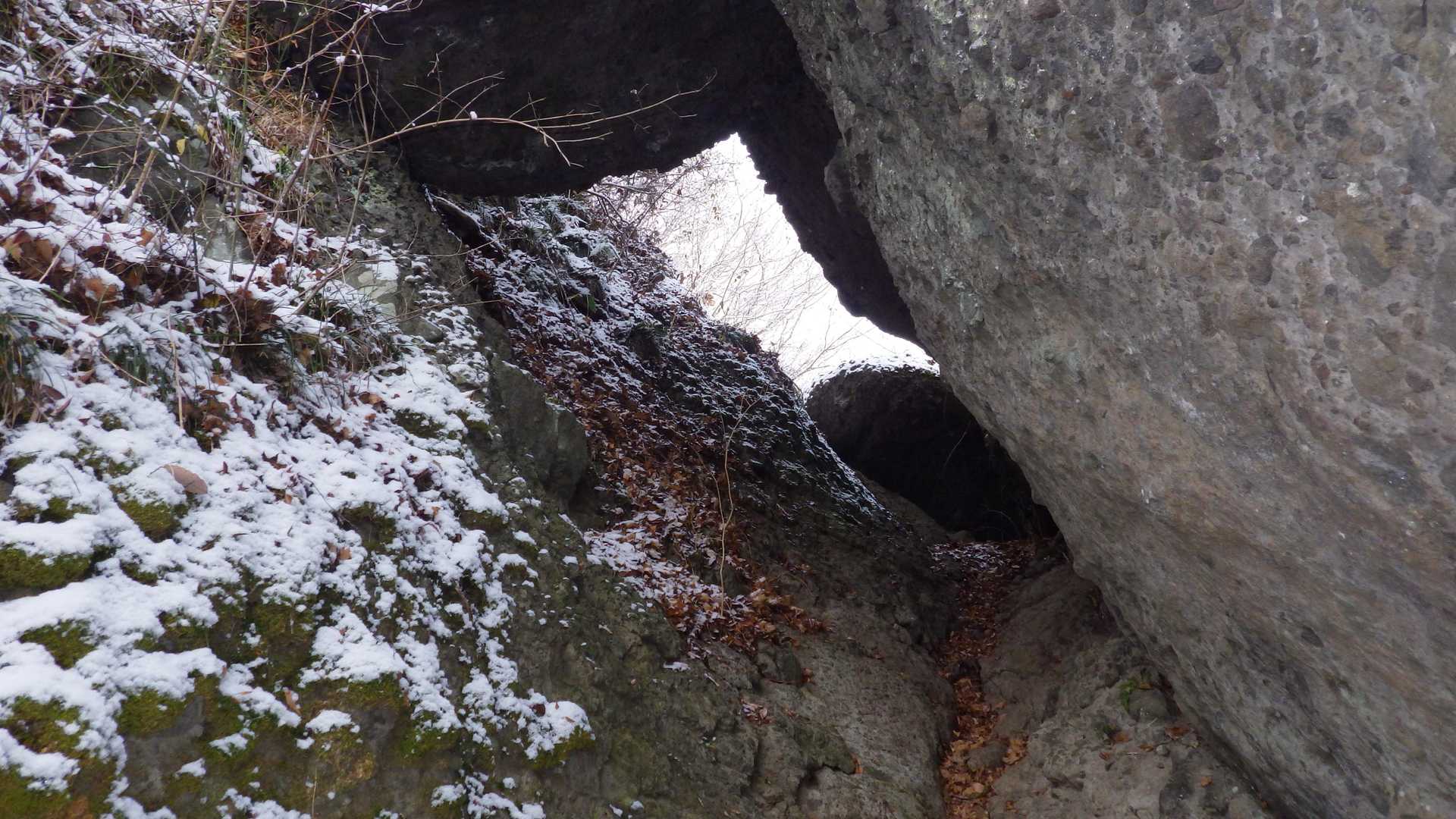珊瑚岳 周回コースの写真