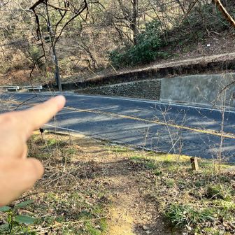 青梅から日の出へ抜ける道路を横断します。