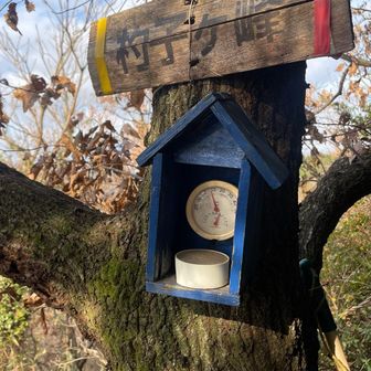 改めて杓子ヶ峰山頂へ