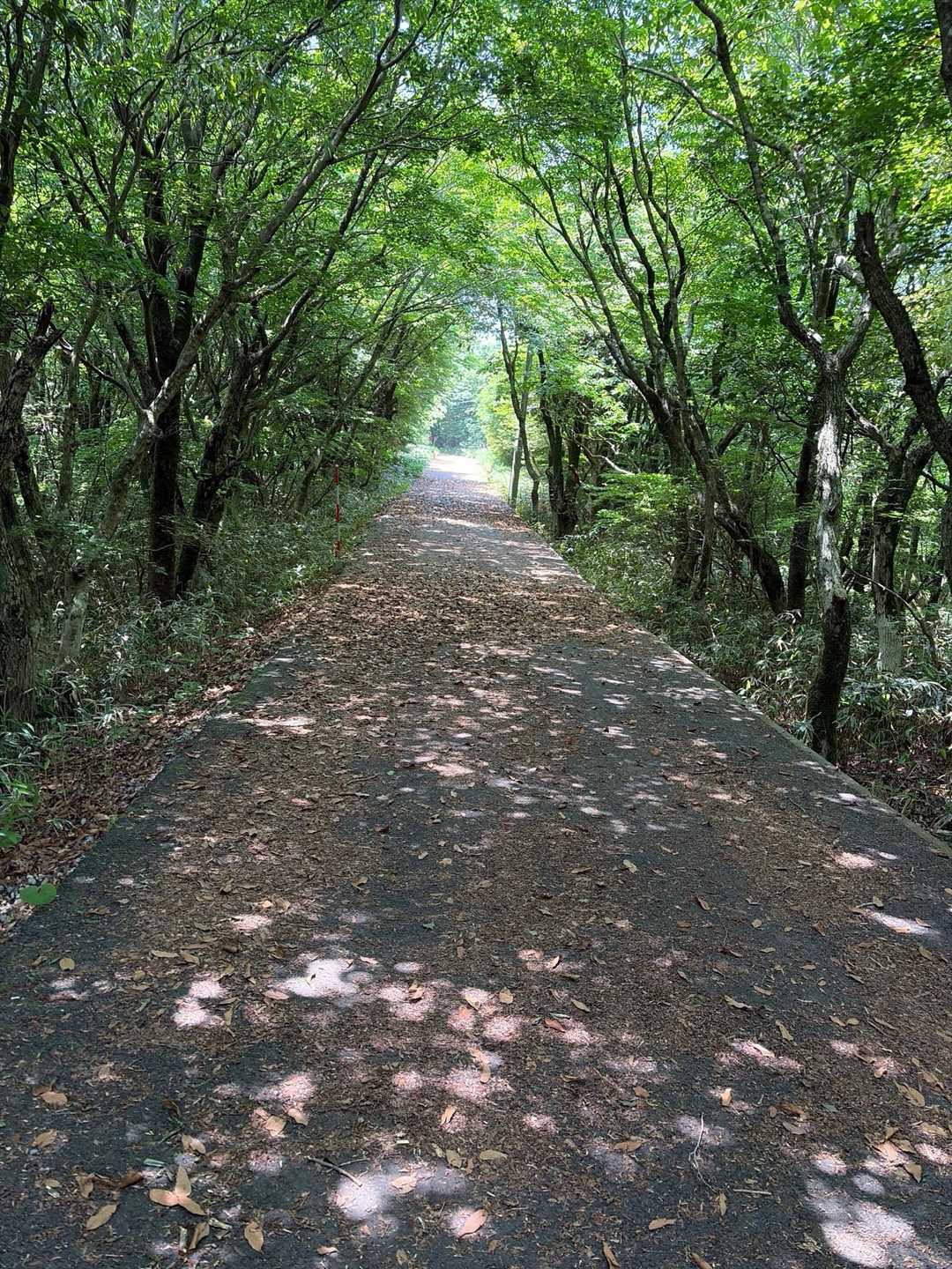 下りの見どころ