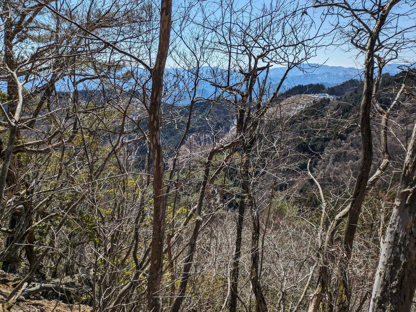 ９０７mピークからの遠くに奥秩父の山々