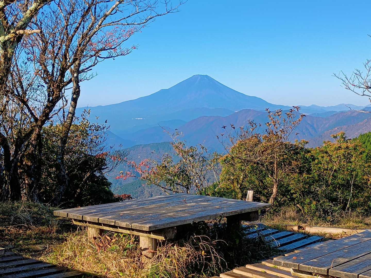 菩提峠-表尾根-塔ノ岳-丹沢山 往復コースの写真