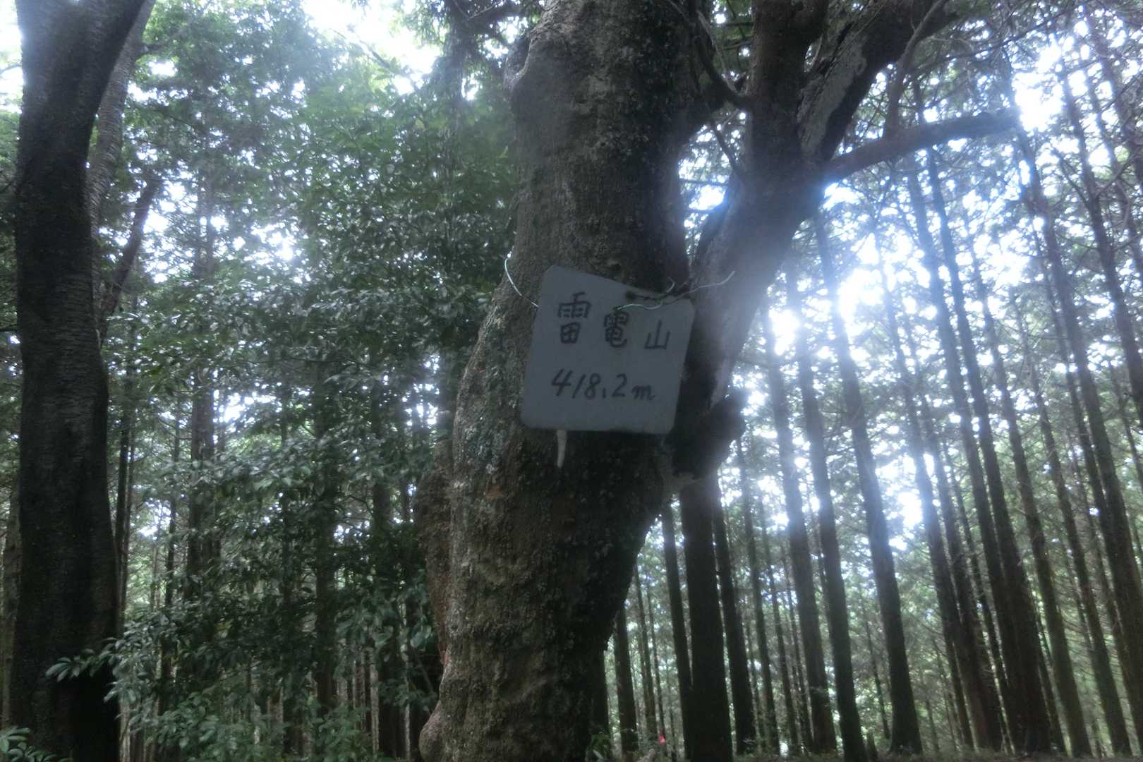 雷電山 往復コースの写真