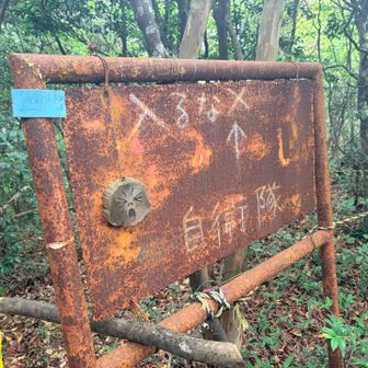 牛頸山西峰。この顔見ると入っちゃいかん場所だと察しがつく。