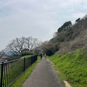 娘と嫁さんはスタート元気です。
バテなきゃいいですけど。