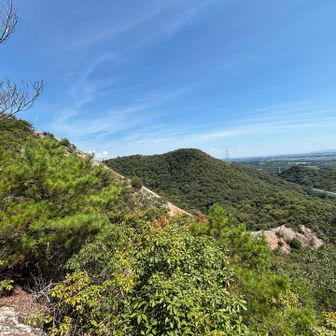 紅山の斜面、横から見るとなかなかの角度です〜
崖の先に惣山(小野富士)