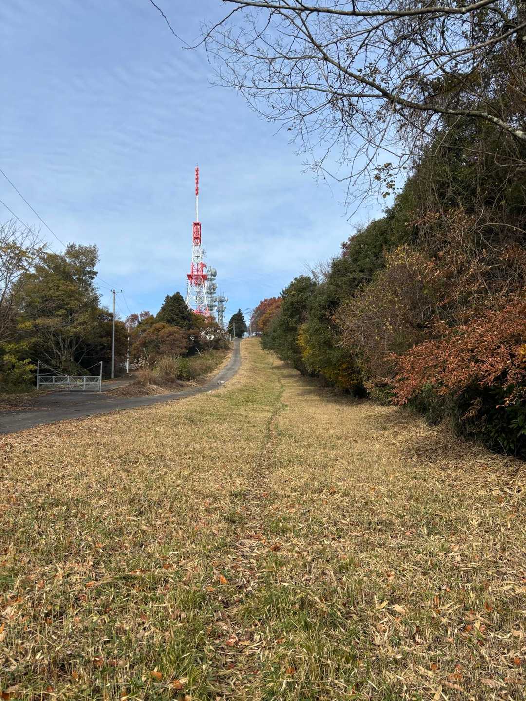 きっとあの電波塔辺り⛰️