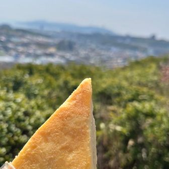 食後のスイーツはチーズケーキ🧀　素敵な景色を眺めながらで美味しい😋　山スイーツやめられませんね〜♪✨　最高✨