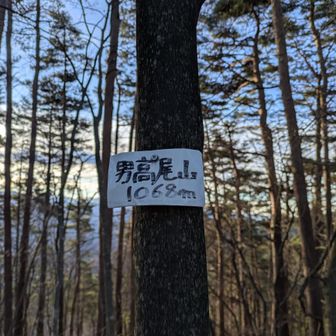 男高尾山
これで長野県内Yamap通算400座達成🎉🎊㊗️🙌✨️🕺