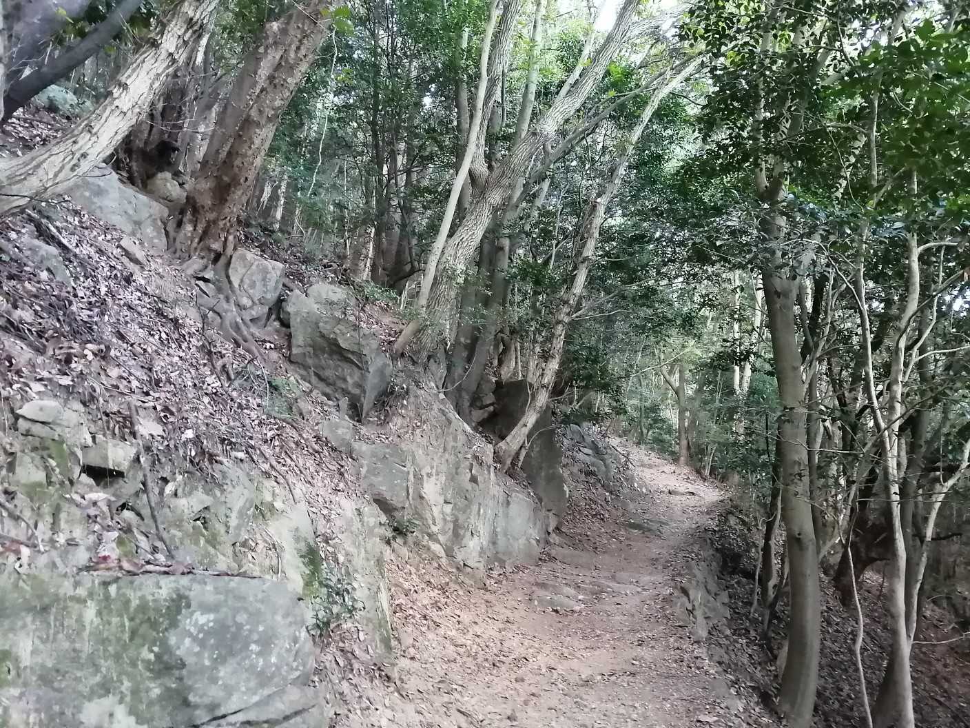 なだらかな登山道‼️☺️