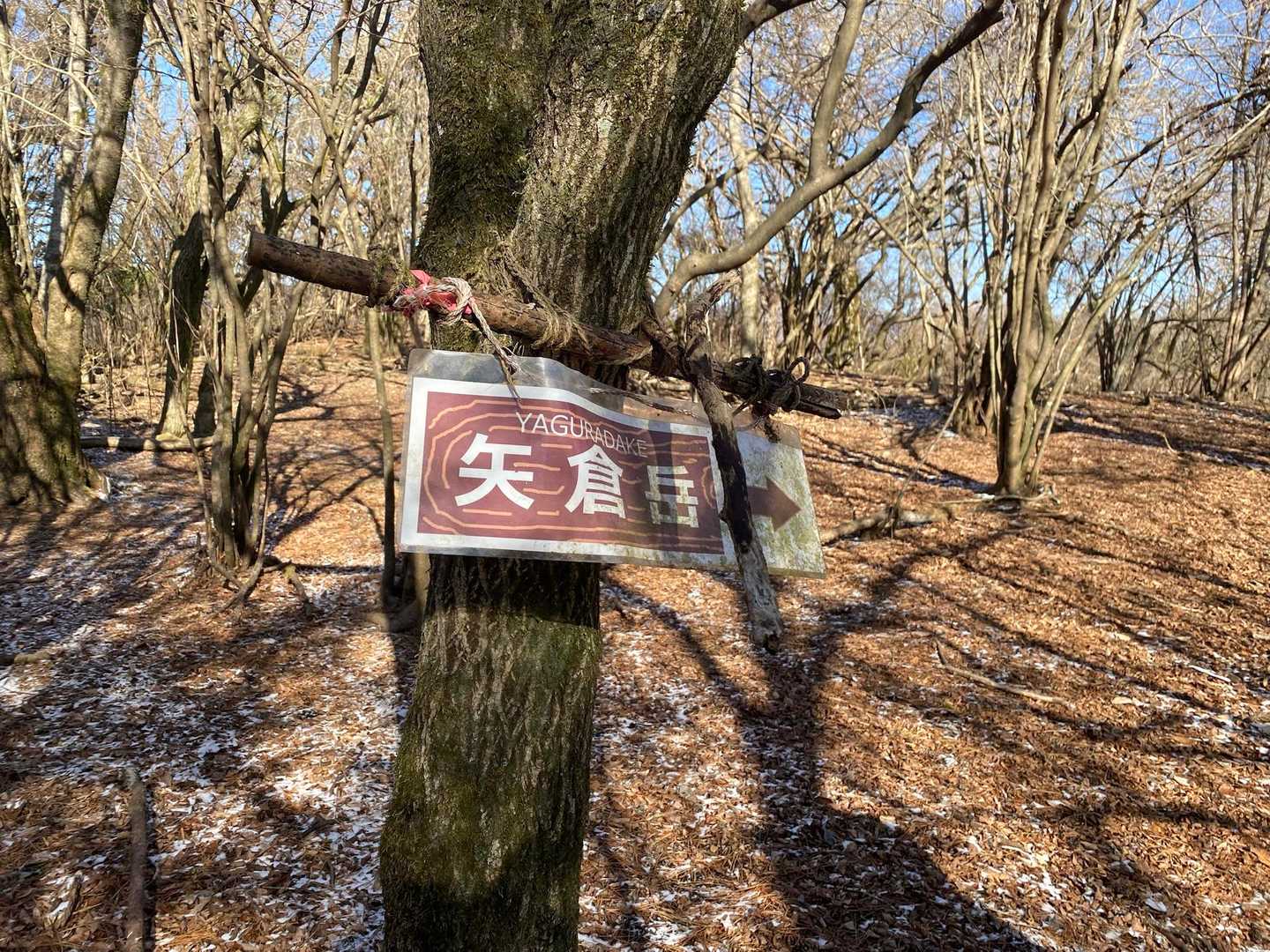 万葉公園スタート。
実は少し行きすぎて、狩猟をしていた女性に駐車場まで案内していただきました。ありがとうございました。
（思いっきり鉄砲を持っていたので、「もしかして熊が出るんですか？💦」と聞いたら、11月以降出てないとのこと、静岡側はシカが解禁でなんとかかんとかと。とても格好良かった）