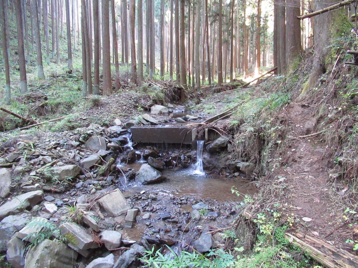 林道崩壊💦