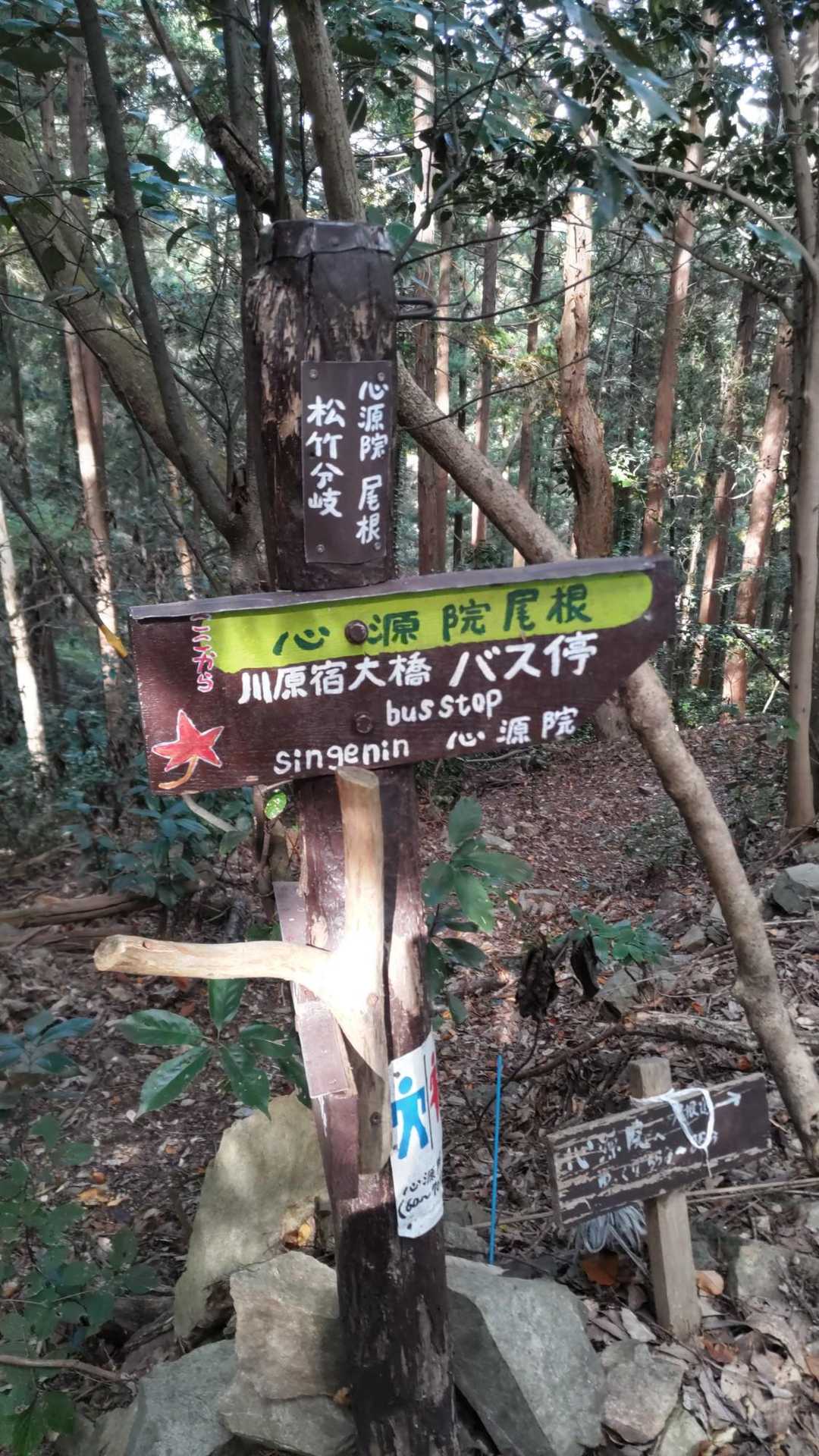 案内板が手作りで可愛い。