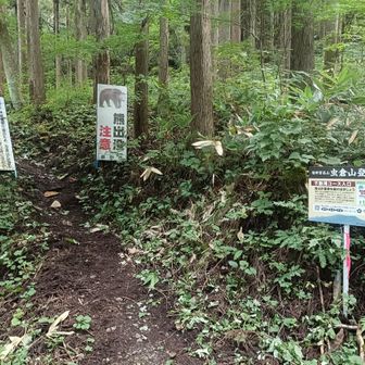 登山口は不動滝の脇にあります。