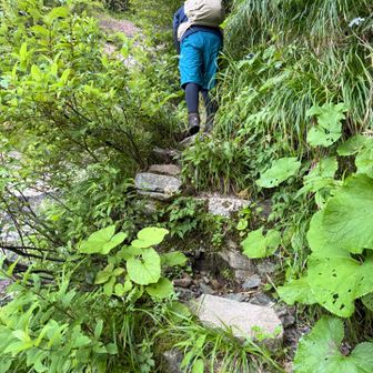 岩岩を登って