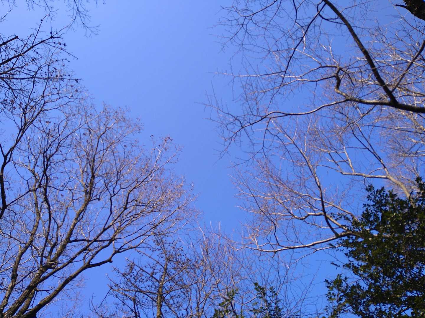 青空が気持ち良い！
