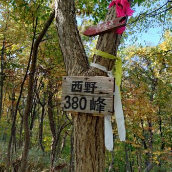 山の名付け方がテキトー（笑）