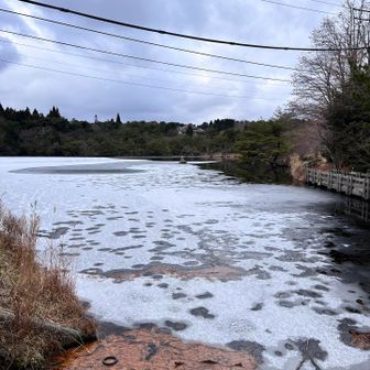 氷池までもどってきました