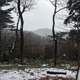 白山なんて見えるわきゃない🙈