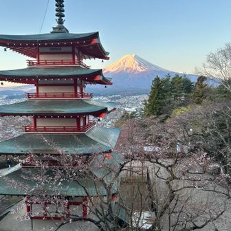 こちらも映える✨
桜はもう少し先ですね🌸
けど規制前なので自由に移動可能でした。