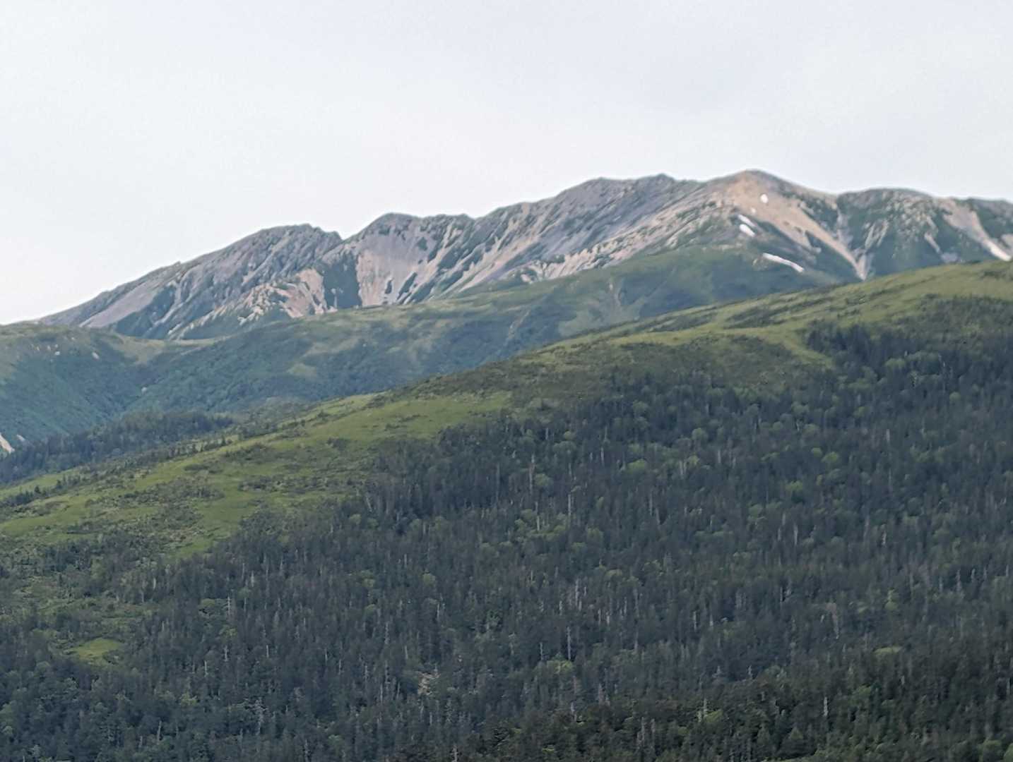 寺地山 往復コースの写真