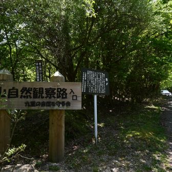 鉱山道路に到着
さて、帰るぞ～！