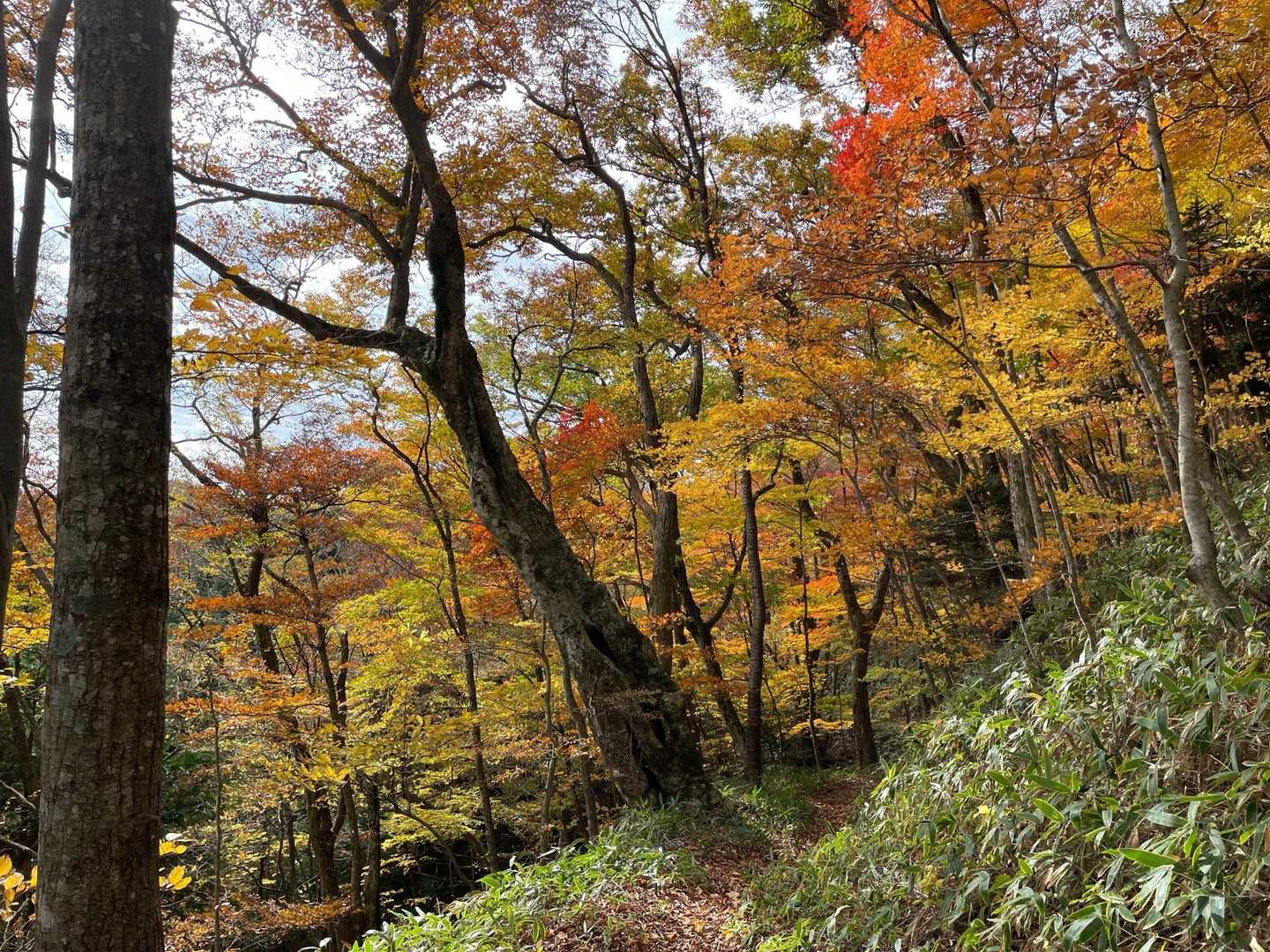 紅葉残ってた🍁
