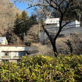 ここはちゃんと営業してました💦
日帰り入浴も出来そうでした♨️