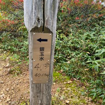 最後の水場
ジョボジョボでした