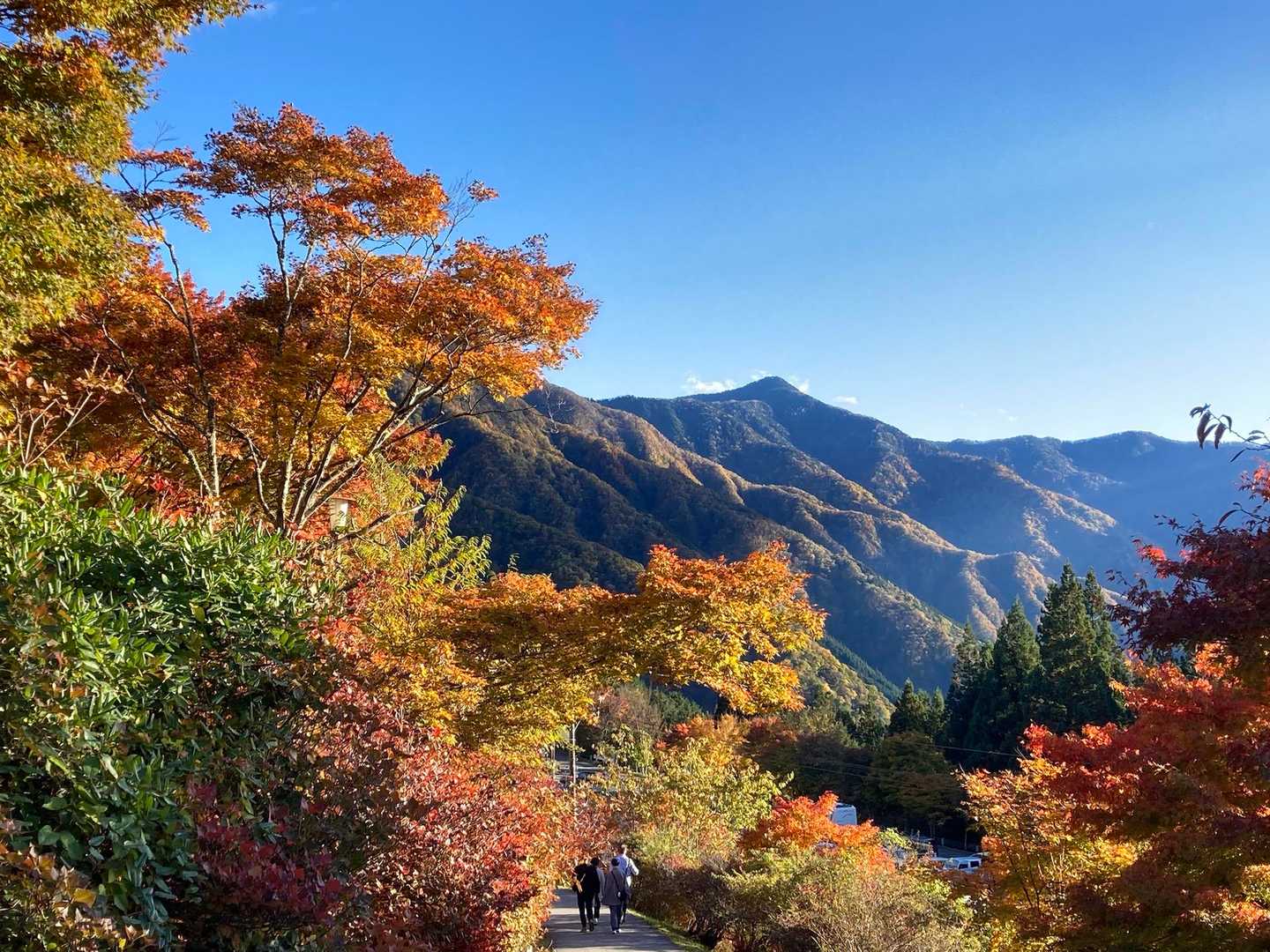 雲取山✨