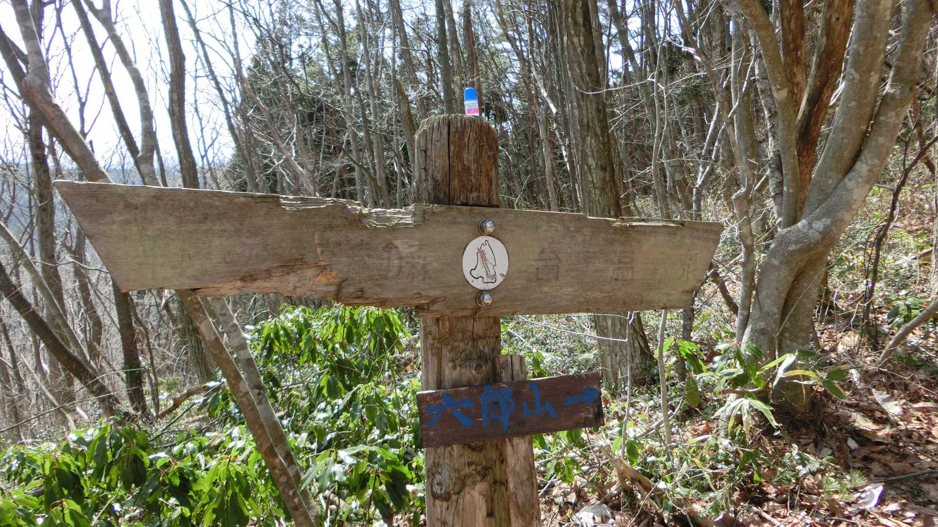 分岐は右へ進みます