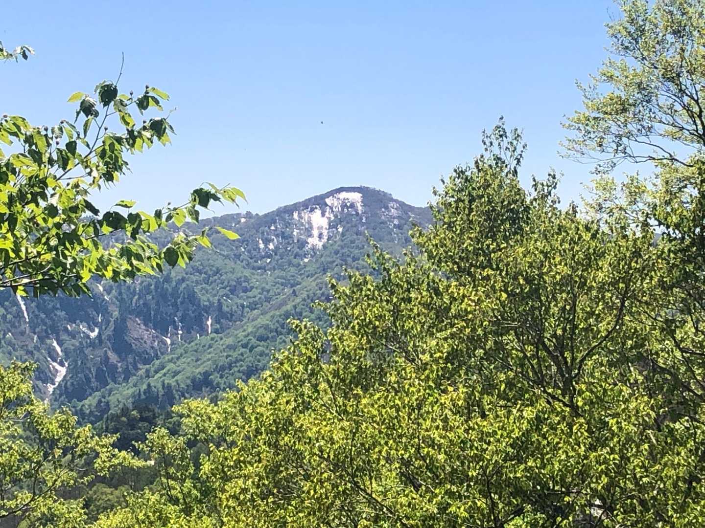 アプリ博士によれば難関の丸山らしい