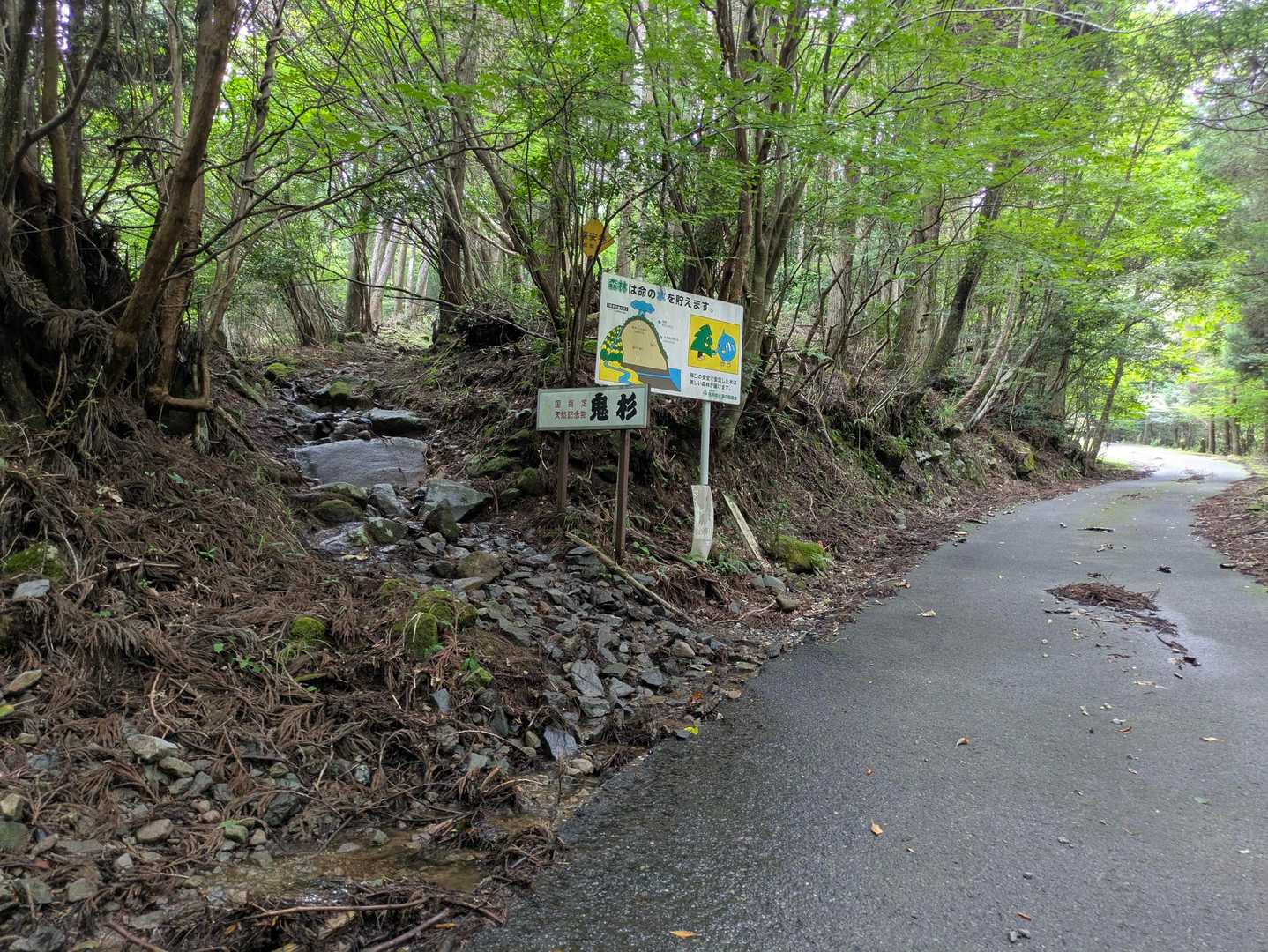 40分舗装路を歩き、やっと登山口。
体力使わないようにゆっくり歩いてきました。