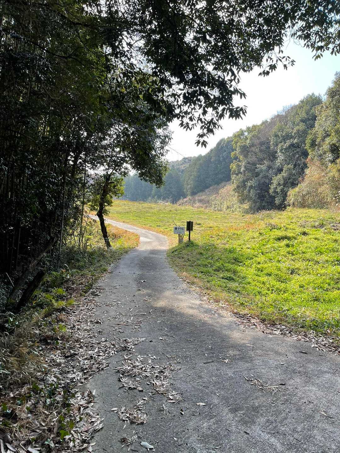戻ってきました