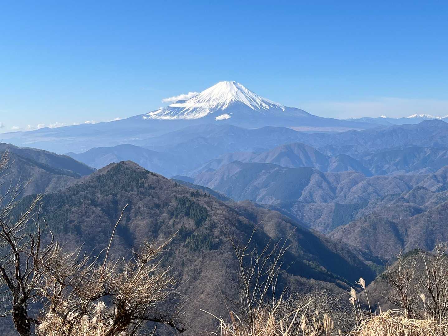 富士山🗻