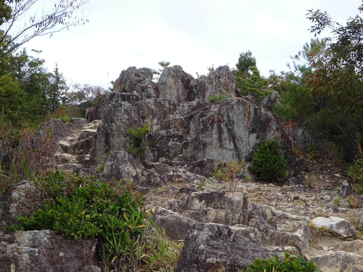 岩が見えてくると急な登りは終わります。