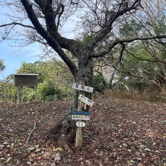 鷲頭山到着