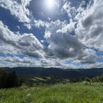 山頂で除草作業中🌱のおじ様と長話

秩父の小鹿野町から作業にきており、
30年以上弓立山で作業をしていて、
本日は朝6時から夕方まで除草作業…
本当に心から感謝ですね。

両神、三峰、雲取、🫎問題の話、等々…
話が盛り上がりました😚
ありがとうございました！