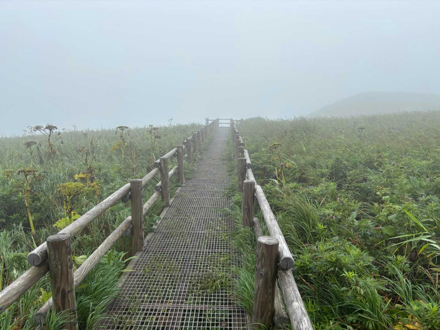つばめ山-元地灯台 往復コースの写真