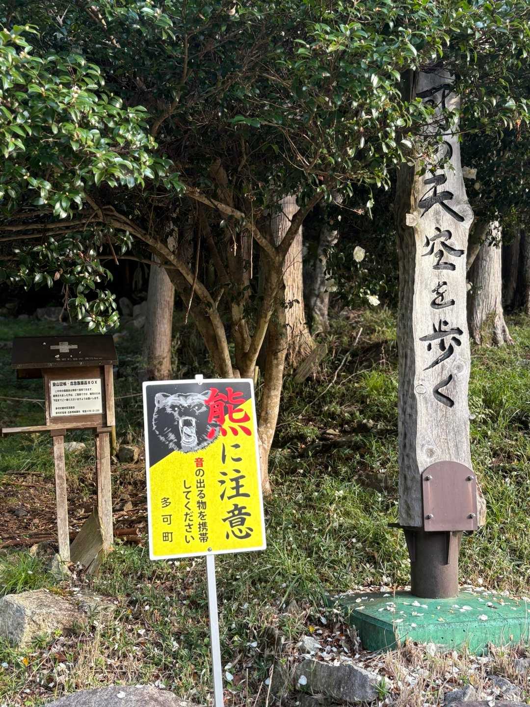 凶暴熊からスタート
